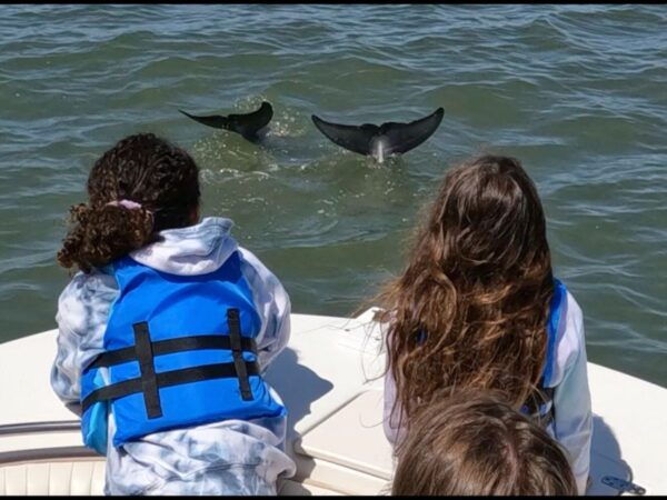 Hilton Head Island: Dolphin and Nature Tour - The Sum Up