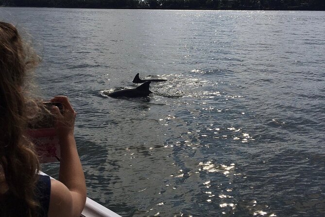 Hilton Head Island Dolphin Boat Cruise - Directions