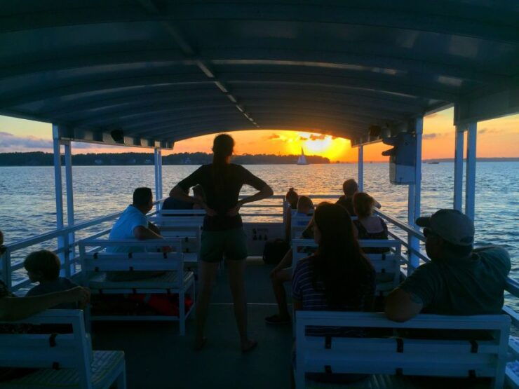 Hilton Head Island: Dolphin Tour at Sunset & Fireworks Show - Activity Details
