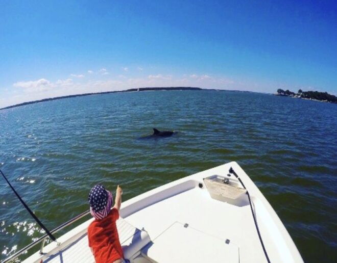Hilton Head Island: Private Dolphin Watching Boat Tour - Full Description of the Tour