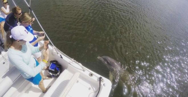 Hilton Head Island: Private Dolphin Watching Boat Tour - Additional Information and Recommendations