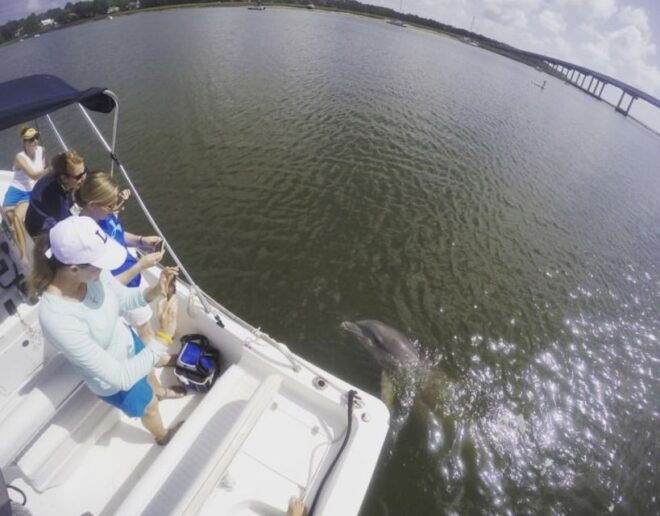 Hilton Head Island: Private Dolphin Watching Boat Tour - Other Things to Do in Hilton Head Island