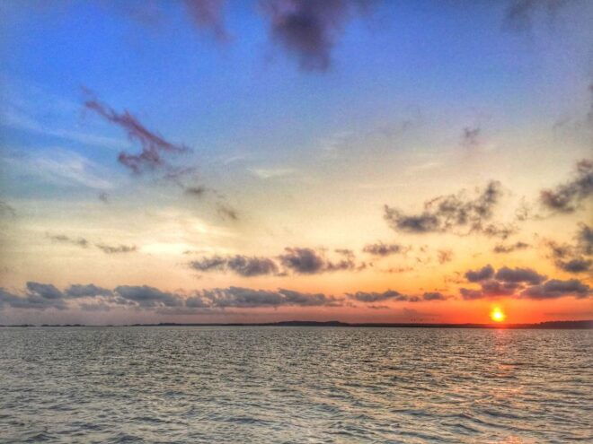 Hilton Head Island: Sunset Creek Cat Boat Tour - Detailed Description of the Tour