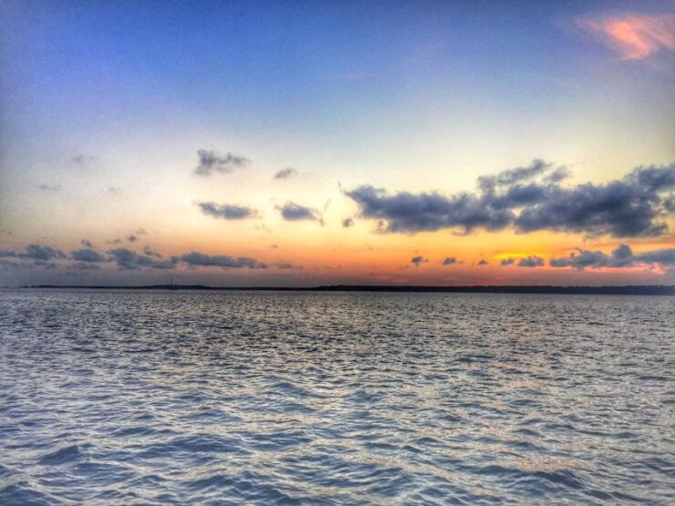 Hilton Head Island: Sunset Dolphin Watching Tour - Tour Details