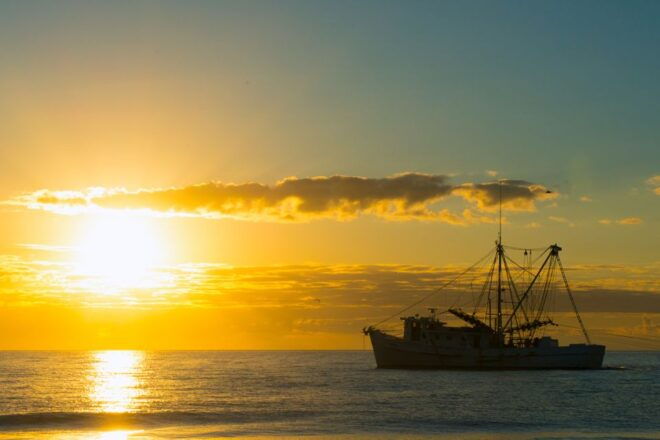 Hilton Head: Private 2-hour Sunset Cruise - Highlights