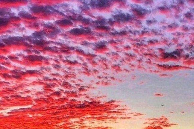 Hilton Head: Private Sunset Cruise - Watch the Sunset