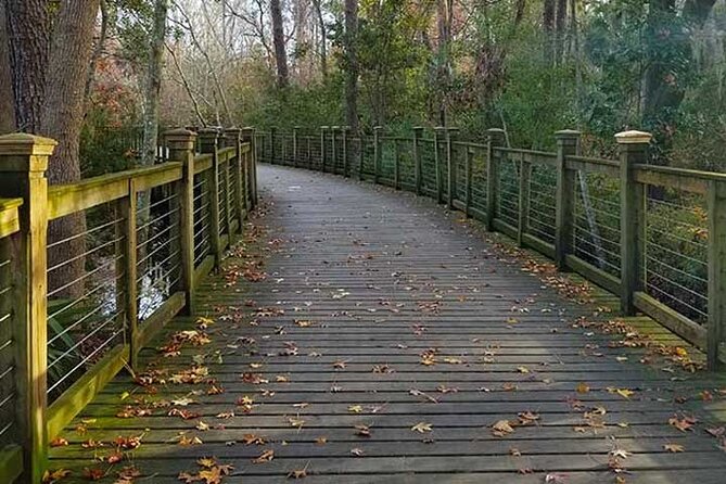 Hilton Head Segway Tropical Pathway Ride (90 Minutes) - Background