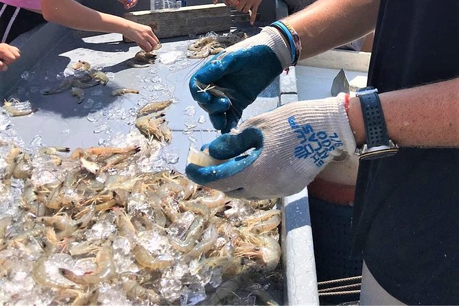 Hilton Head Shrimp Trawling Boat Cruise - Common Questions