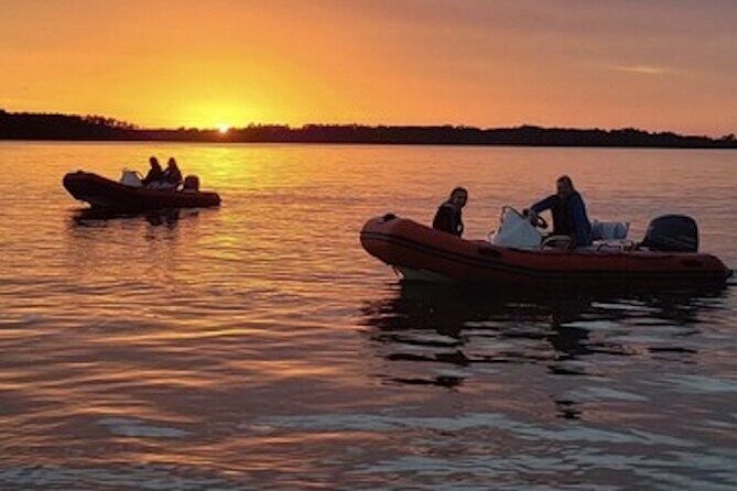 Hilton Head Sunset Dolphin and Sightseeing Tour via Mini Boat - Exploring the Tour in Detail