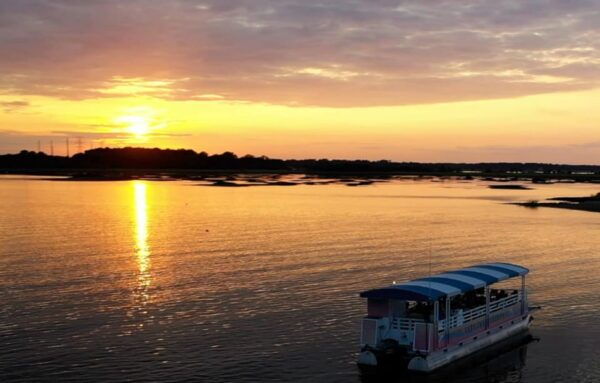 Hilton Head: Sunset or Daytime Dolphin Watching Cruise - Booking and Pricing