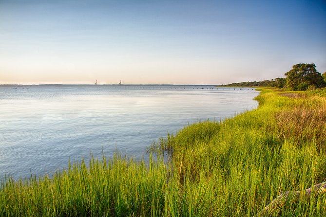 Hilton Head to Daufuskie Island Round-Trip Ferry Ticket - Activities and Options