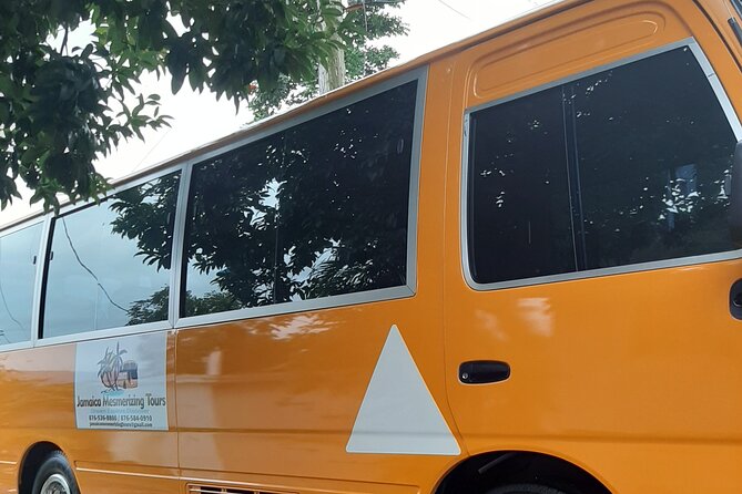 Hilton Rose Hall Private Airport Transfer - Booking Process