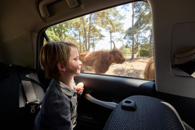 Hilvarenbeek: Safaripark Beekse Bergen Entry Ticket - Directions and Transportation