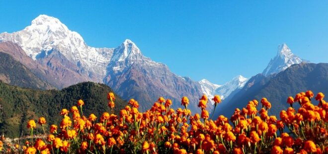 Himalayan Horizons: 5 Days on Annapurna's Majestic Foothills - Breathtaking Landscapes and Diverse Terrains