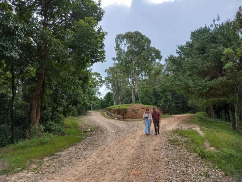 Himalayas from Kathmandu: Nagarkot Sunrise & Hiking Trip - What to Expect from the Nagarkot Sunrise & Hiking Tour