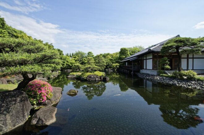 Himeji: 1 or 2 Day Car Rental - Additional Services Available