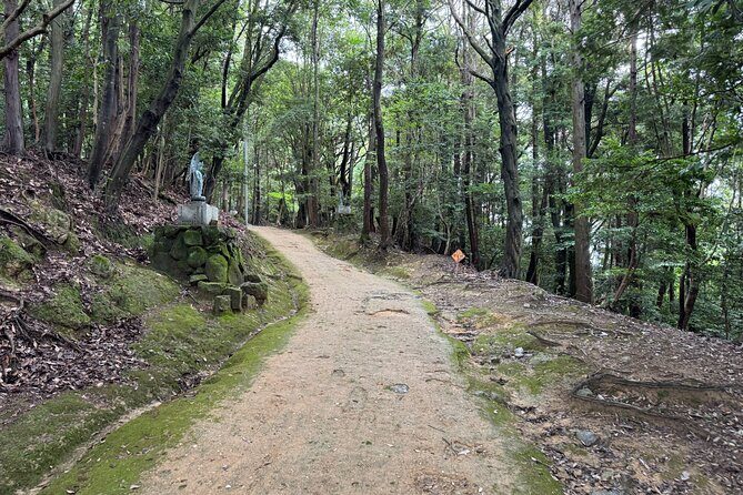 Himeji: 3-Hour Tour of Engyoji Temple, Japans Hidden Gem - The Sum Up
