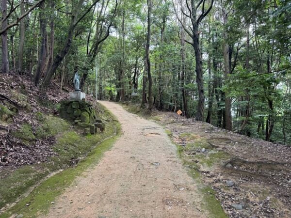 Himeji: 3-Hour Tour of Engyoji Temple, Japan's Hidden Gem - Tips for Visitors