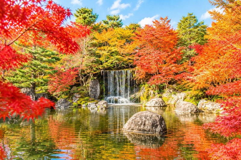 Himeji Castle, a World Heritage Site, Arima Onsen, one of Japans three ancient hot springs, and Mount Rokko Observation Deck Day Tour (Departing from Osaka) - Should you book this Osaka day trip?