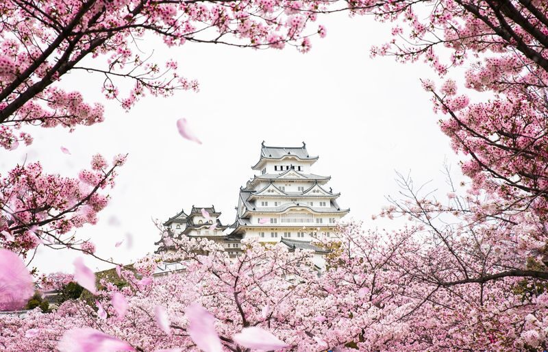 Himeji Castle and Kobe Night View Full-Day Small Group Tour - Key points before you book