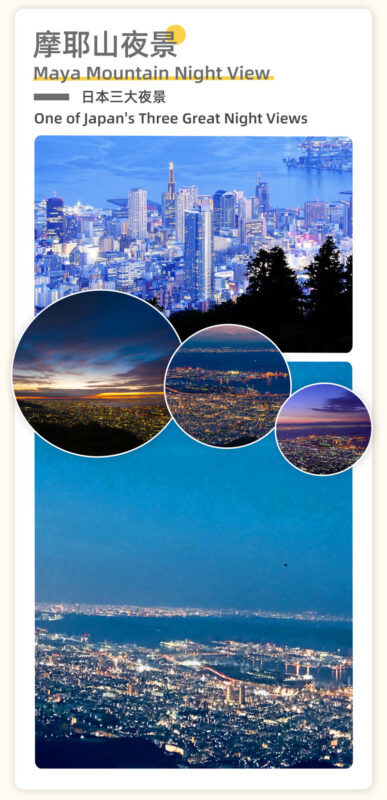 Himeji Castle and Kobe Night View Full-Day Small Group Tour - Who should choose this day trip?