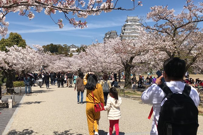 HIMEJI CASTLE Custom Tour With Private Car and Driver (Max 9 Pax) - Reviews and Ratings