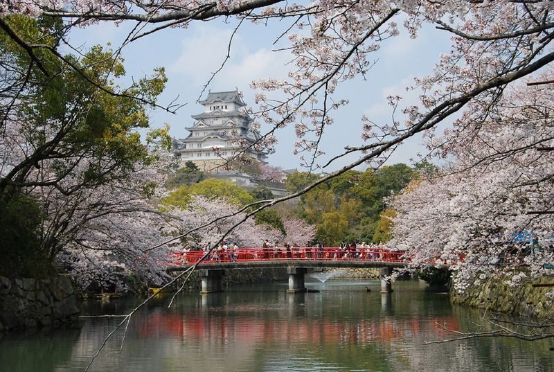 Himeji Castle & Engyoji Temple Half-Day Cultural Tour - What matters before you book