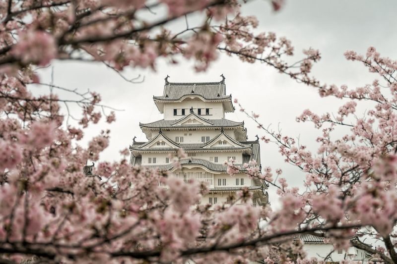 Himeji Castle & Engyoji Temple Half-Day Cultural Tour - A morning that links two sides of Himeji