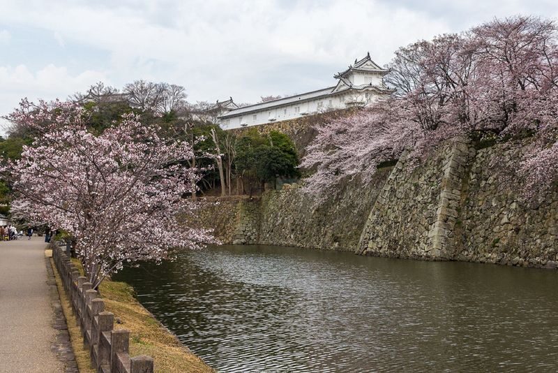 Himeji Castle & Engyoji Temple Half-Day Cultural Tour - Engyoji Temple, a quieter finish on Mount Shosha