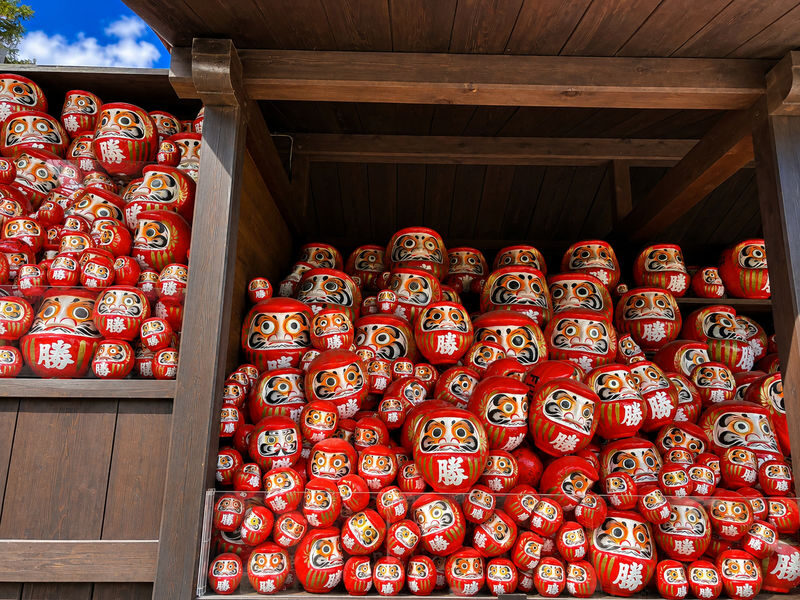 Himeji Castle & Katsuoji Temple Full-Day Discovery - Transport saves planning, but adds road time