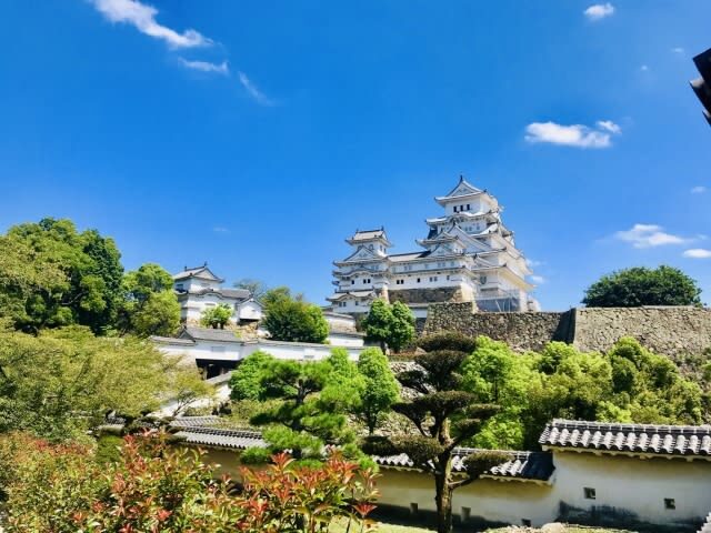 Himeji Castle & Katsuoji Temple Full-Day Discovery - Who will enjoy this day most?