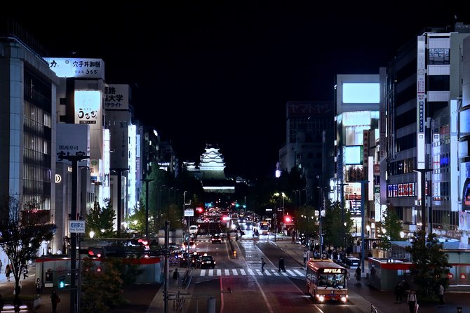 Himeji Custom Full Day Tour - Meeting Point