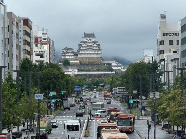 Himeji: Discover Every Bit of Himeji Castle - Tips for Tourists