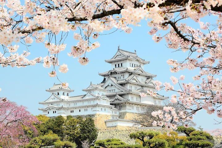 Himeji Half-Day Private Tour with Government-Licensed Guide - Himeji Castle gives the morning its purpose