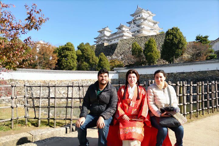 Himeji Half-Day Private Tour with Government-Licensed Guide - What a licensed guide adds at the castle