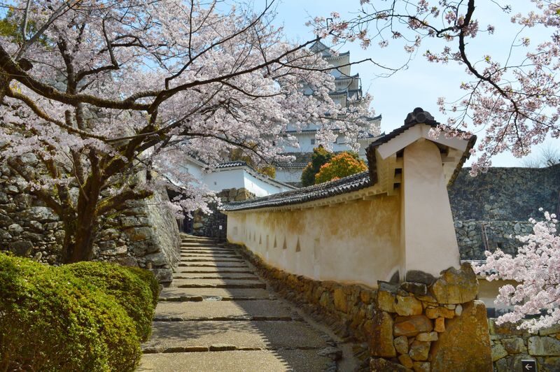 Himeji Half-Day Private UNESCO Castle & Sake Tour - Three hours, with a clear afternoon plan