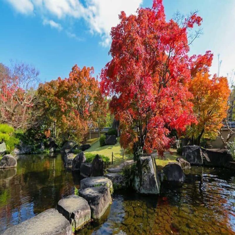 Himeji, Kobe & Mount Shosha Scenic Discovery Day Tour - FAQs