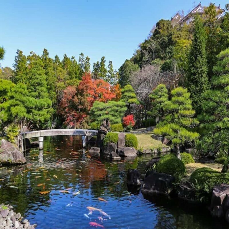 Himeji, Kobe & Mount Shosha Scenic Discovery Day Tour - Final Thoughts