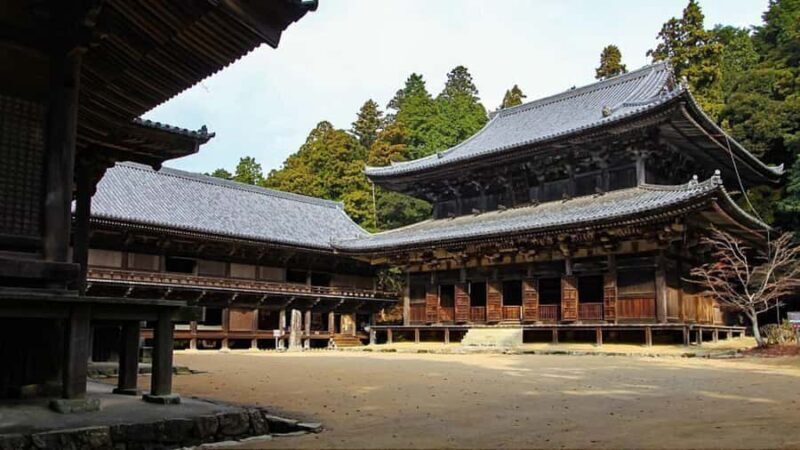 Himeji, Kobe & Mount Shosha Scenic Discovery Day Tour - Who Is This Tour Best For?