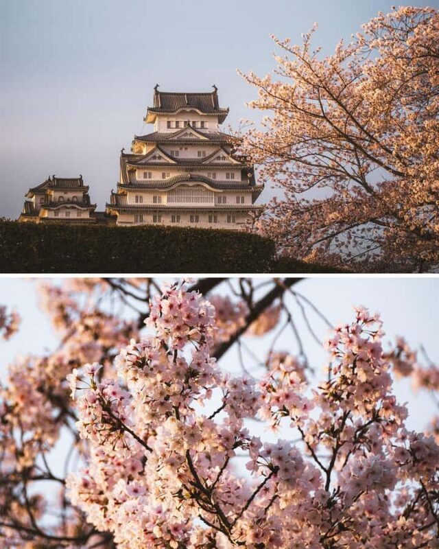 Himeji, Kobe & Mount Shosha Scenic Discovery Day Tour - Why This Tour Works