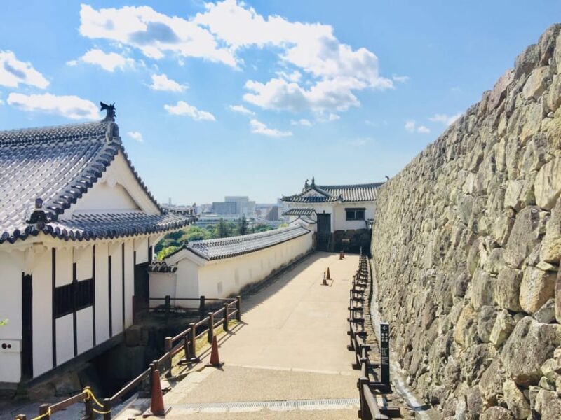 Himeji: Private Guide Tour of the Castle from Osaka or Kyoto - Who Should Consider This Tour?