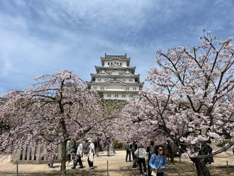 Himeji: visit the castle and Engyoji temple from Osaka - Good To Know