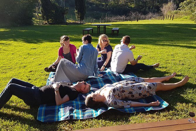 Hinterland Explorer Day Pass - Transportation and Comfort