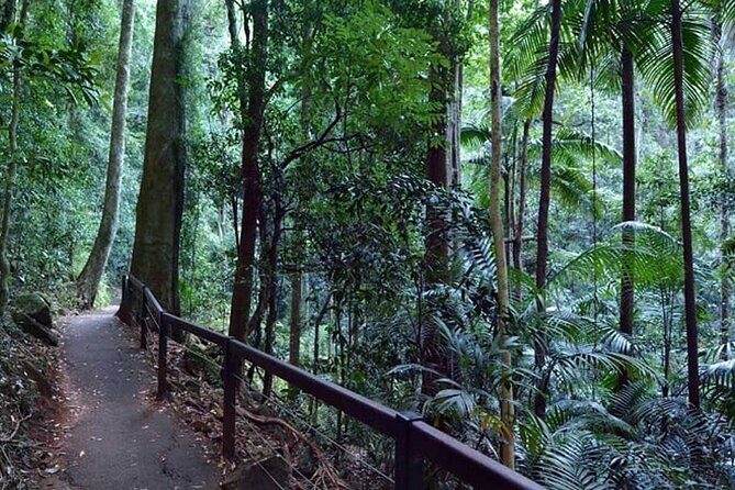 Hinterland Explorer Day Pass - Final Thoughts