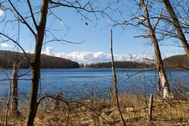 Hinterland Tour - the Hinterland: Dreamy and Beautiful - Customer Reviews