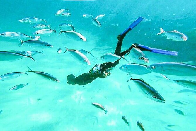 Hip Hop solo para adultos PartyBoat con Bebidas ilimitadas y Bar - Who Is This Tour Best For?