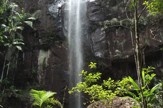 Hippy Trail Hinterland Tour From Byron Bay - Customer Testimonials