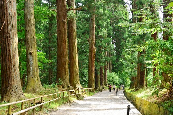 Hiraizumi Full-Day Private Trip With Government-Licensed Guide - Transportation Options