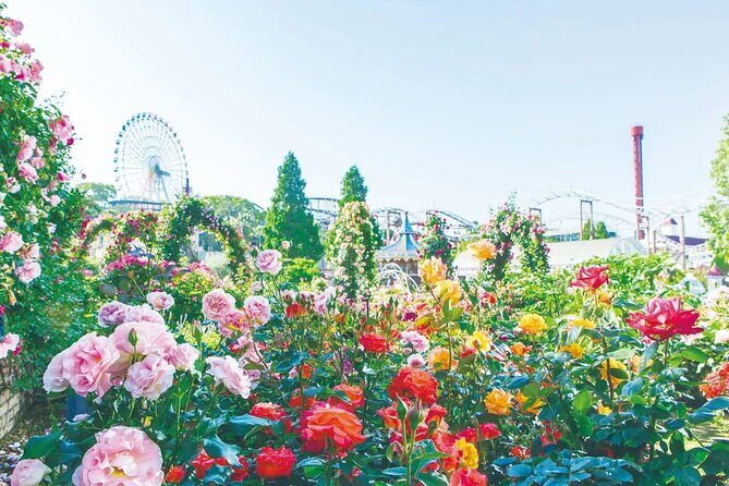 Hirakata Park Adventure Admission Ticket - The Park’s Best Features