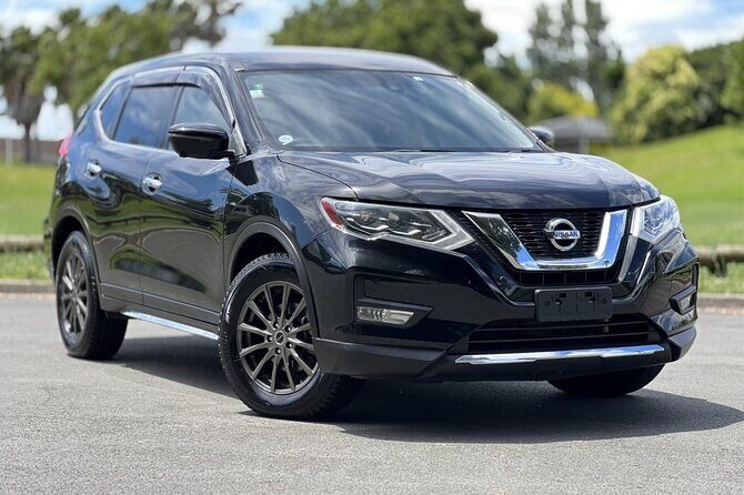 Hire a Local Driver, Private Transportation for Families & Groups - Authentic Insights from a Reviewer